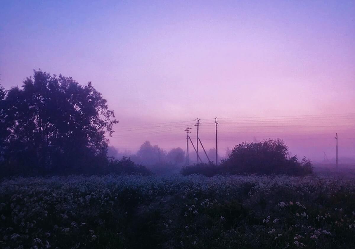 黄金甲体育：在保护中成就更强的你